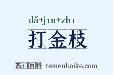 打金枝是什么意思的图片